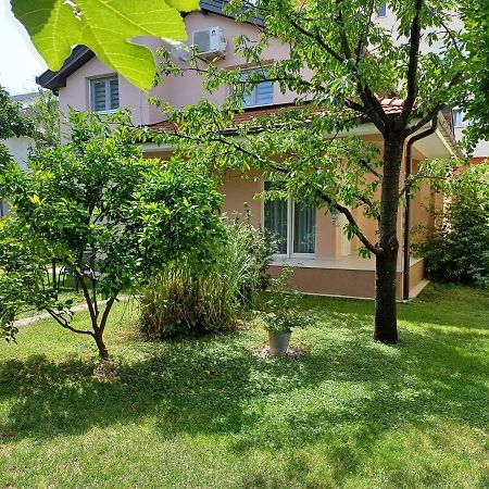 Villa Tamara With Garden And River View - Free Private Parking - Garage Мостар Екстер'єр фото