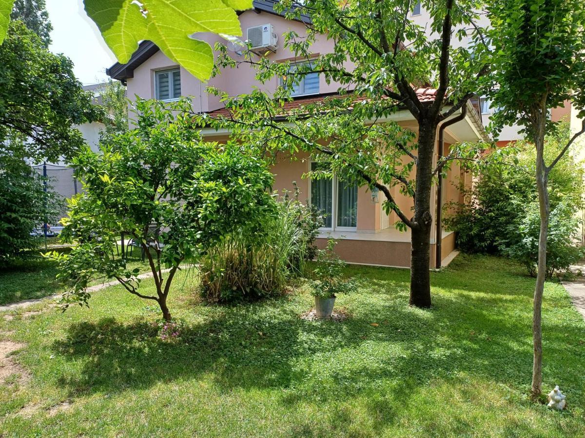 Villa Tamara With Garden And River View - Free Private Parking - Garage Мостар Екстер'єр фото
